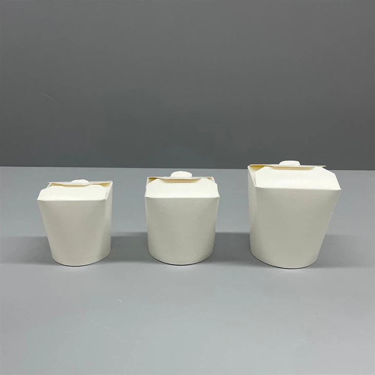 takeaway noodle boxes